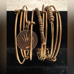 Alex and Ani Mothers Hold Their Childs Hand For A Moment Set Bronze 7 bracelets
